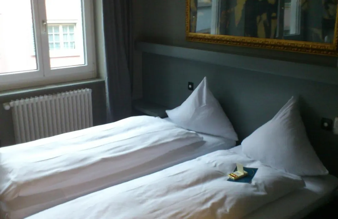 Hotel Limmatblick-1